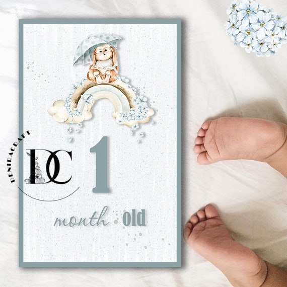 Monthly Baby Milestones SVG Set In Forest Theme, Wooden Rounds, Digital Cut File For Glowforge Laser, Gender Neutral Woodland PNW
