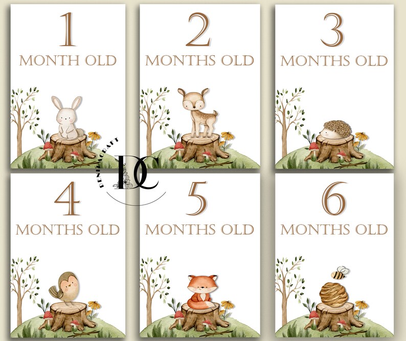 Baby Monthly Milestone Card Printable Baby Month Card - Etsy