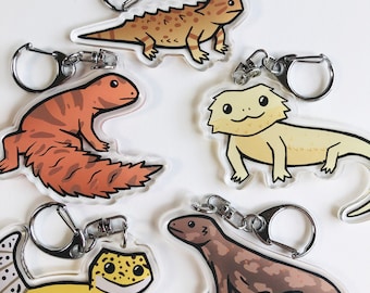 May include: Five different keychains featuring cartoon illustrations of lizards. The keychains are made of clear acrylic and feature a variety of lizard species, including a bearded dragon, a leopard gecko, and a crested gecko. The keychains are all attached to silver key rings.