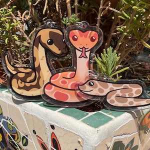 Könnte beinhalten: Drei Schlangen-Schlüsselanhänger aus Acryl. Einer ist braun und beige, ein anderer ist orange und rot mit einem herzförmigen Kopf, und der dritte ist beige mit braunen Flecken. Alle haben einen transparenten Hintergrund und einen silbernen Schlüsselring.