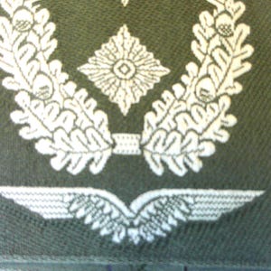 May include: A dark green patch with white embroidered details. The design includes a central starburst shape, flanked by oak leaf wreaths, and a stylized wing emblem at the bottom. The patch has a textured appearance.
