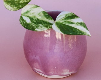 Vase de propagation en céramique fait main - émaillé rose bonbon