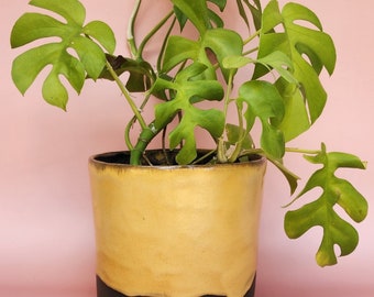 Handmade Ceramic Cover Pot for indoor plants - Mustard Glaze