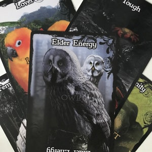 Guía Espiritual Animal y Aspectos Oráculo Tarjetas Psíquicas