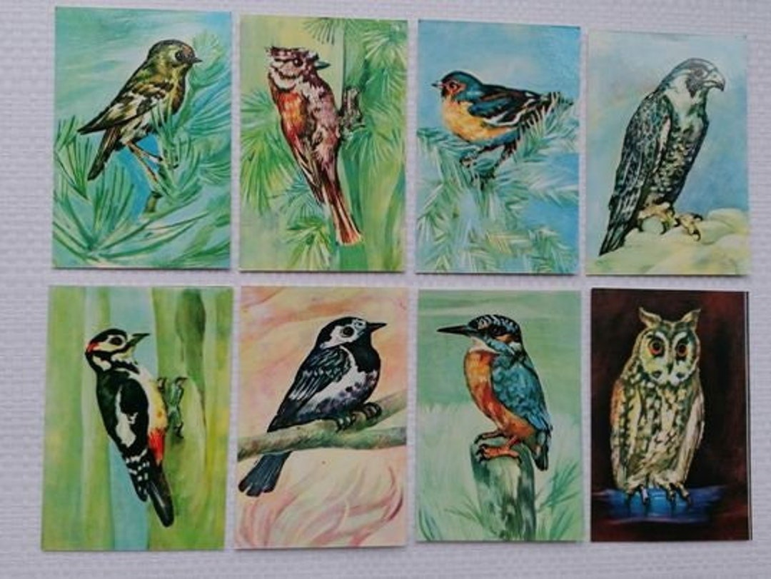 Pocket Calendars With Birds and Mushrooms Vintage Soviet Calendars From ...