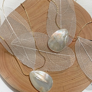 May include: A gold chain necklace with two pearlescent white shell pendants. The necklace is displayed on a wooden surface with dried leaves.