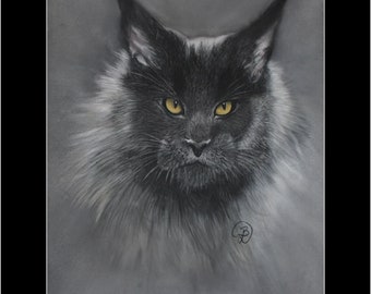 Maine Coon Chat Etsy France