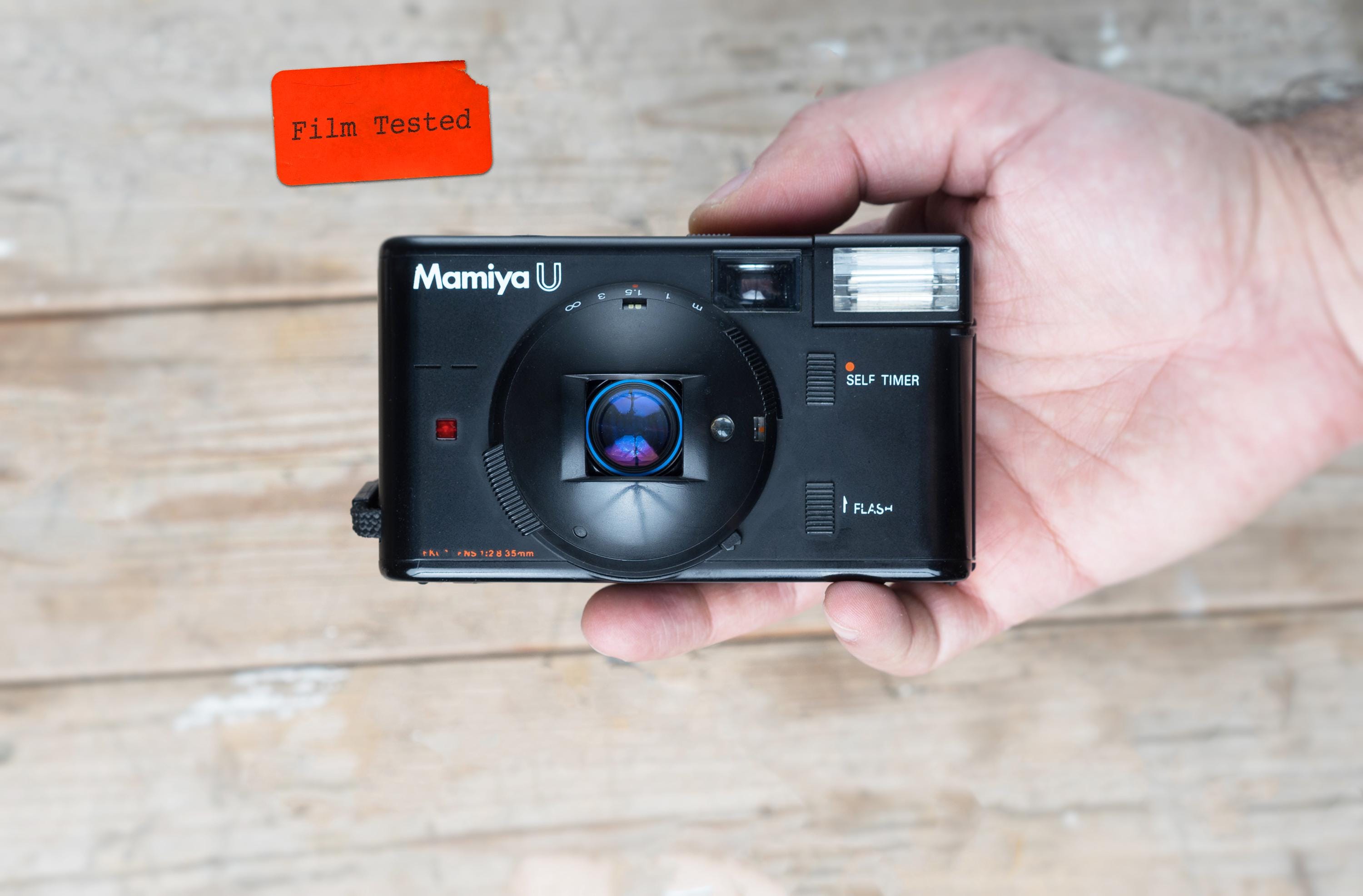 Yashica t4 - Etsy 日本