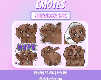 hype puppy clothes