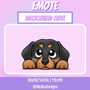 Dachshund Lurk Twitch Emote / Streamer / Youtube / Lurk Stream Emote / Vtuber / Dog Lurk Emote / Sausage Dog Emote / Miniature Dachshund