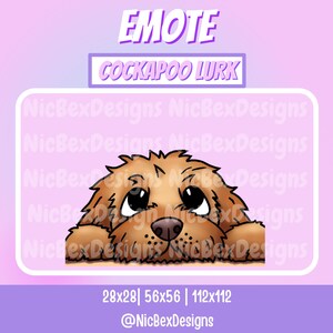 Puede incluir: Una ilustración digital de un perro cockapoo marrón y blanco asomándose por encima de un rectángulo rosa. El perro tiene una nariz marrón y grandes ojos marrones. El texto "EMOTE COCKAPOO LURK" está por encima del perro y el texto "@NicBexDesigns" está por debajo del perro.