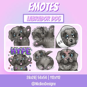 Könnte beinhalten: Sechs verschiedene animierte Emojis mit einem grauen Labrador in verschiedenen Posen. Die Emojis sind mit "Hype" beschriftet und beinhalten einen Hund mit einem Kegel um den Hals, einen Hund mit herausgestreckter Zunge, einen Hund mit gekreuzten Pfoten, einen Hund mit wedelndem Schwanz und einen Hund mit geschlossenen Augen.