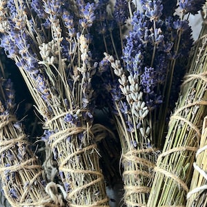 Dried lavender flower bundle Set of 2 Fresh 2025&#39; season