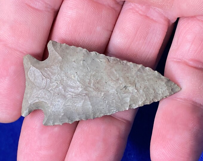 Very Cool, Small Serrated Pine Tree Projectile Point Arrowhead Artifact ...