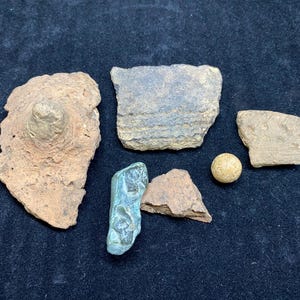 Può includere: Una collezione di sei frammenti di ceramica e una piccola pietra rotonda beige. I frammenti sono di varie tonalità di marrone e beige, alcuni mostrano segni di usura. La pietra è liscia e sembra essere fatta di materiali naturali.