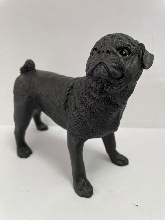 Black pug cheap dog price