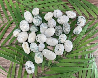 1 Tree agate tumbled stone | crystal carving | pocket stone | crystal gift