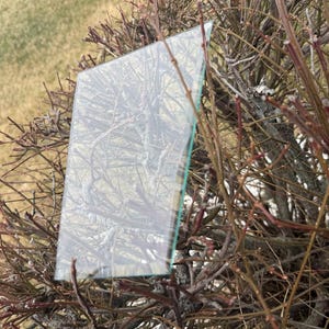 May include: A rectangular piece of clear glass with a green edge, positioned among bare, reddish-brown branches. The glass reflects the surrounding environment, creating a transparent effect. The background features a blurred view of grass and sky.