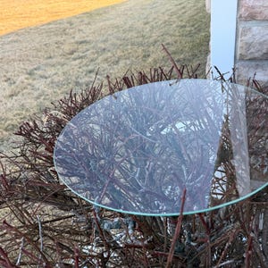 May include: A clear, round glass tabletop resting on a bush with reddish-brown branches. The glass reflects the surrounding environment, including a grassy area and a stone wall.