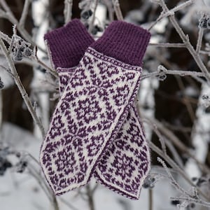 May include: A pair of purple and white knitted fingerless gloves with a geometric pattern. The gloves are hanging on a branch with frost.