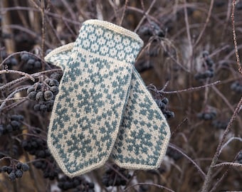 May include: A pair of knitted mittens with a geometric pattern in shades of beige and teal. The mittens are hanging on a branch with dark berries.