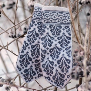 Op de afbeelding: Een paar gebreide wanten met een witte achtergrond en een donkerblauw bloemenpatroon. De wanten hangen aan een tak met rijp.