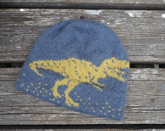 May include: A blue knitted beanie with a yellow knitted dinosaur design.