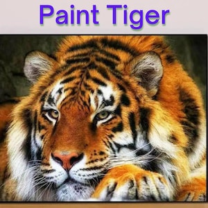 Sheehow 5D Diamond Painting Kits for Adults Tiger, Full Drill Diamond Art  Animals Desert, Gem Pictures by Numbers Art, DIY Cross Stitch Jewel Art