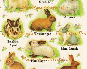 Vintage Printable Retro Sticker Sheet Bunny Rabbit Breeds PDF Instant Digital Download Animal Decals Seals Collage Clipart