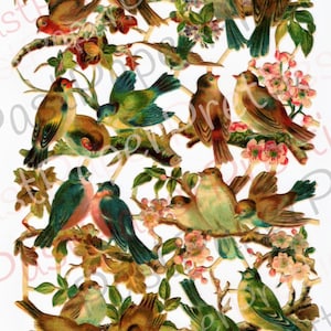 Vintage Antique Victorian Song Birds and Nests Printable Paper Scraps Collage Sheet Instant Digital Download 1880s German Die Cuts 2 Designs