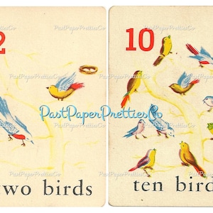 May include: Two illustrated cards with a number and a word on each. The first card shows the number 2 and the word "two birds". The second card shows the number 10 and the word "ten birds". Both cards feature colorful illustrations of birds.