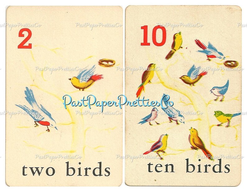 May include: Two illustrated cards with a number and a word on each. The first card shows the number 2 and the word "two birds". The second card shows the number 10 and the word "ten birds". Both cards feature colorful illustrations of birds.