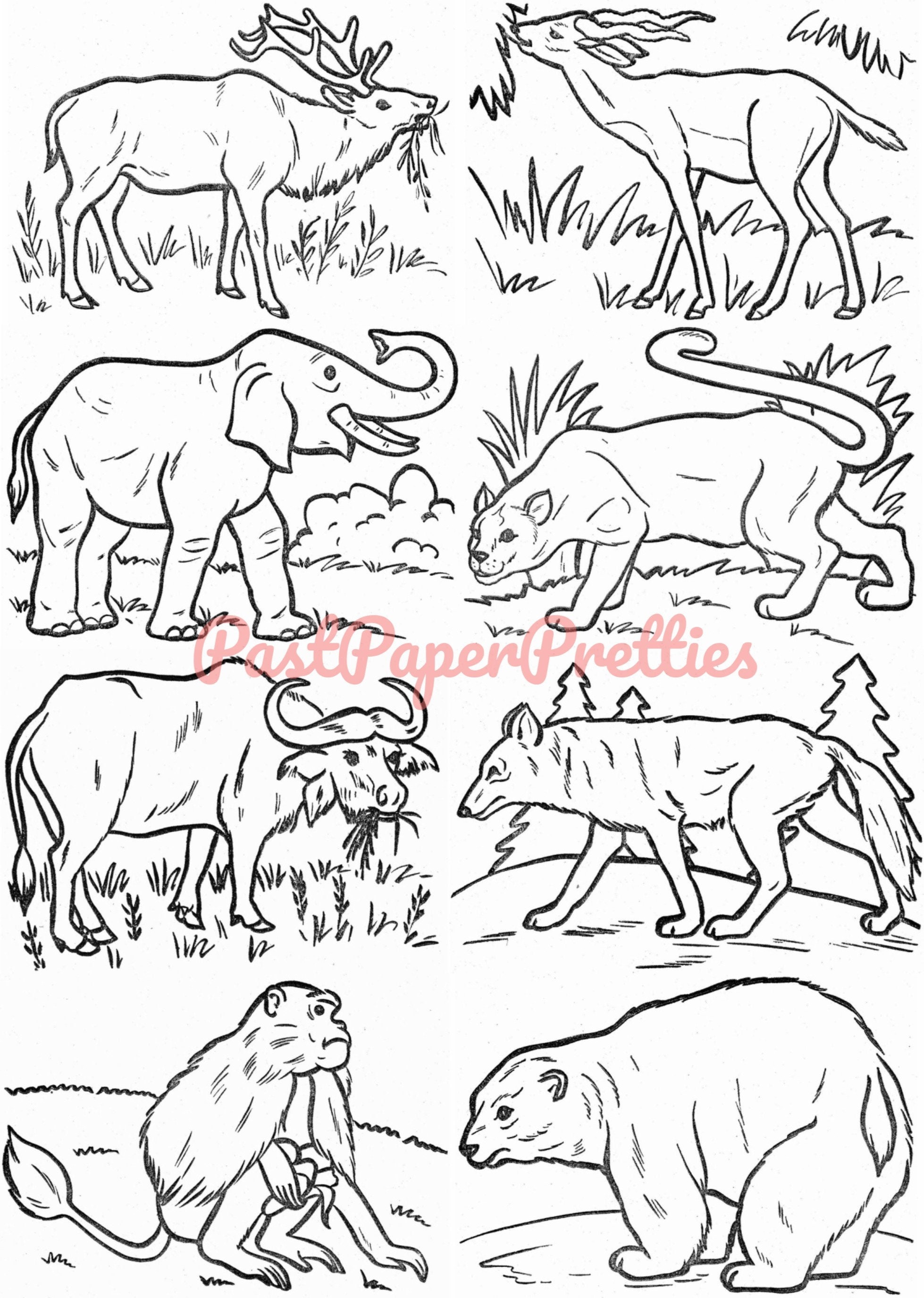 Vintage Printable Coloring Book Pages Animals to Color 1950s PDF ...