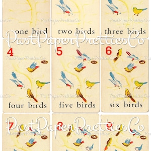 May include: Nine vintage flashcards with colorful illustrations of birds on a tree branch. Each card features a number from 1 to 9 and the corresponding number of birds. The text "Past Paper Pretties Co." appears on each card.