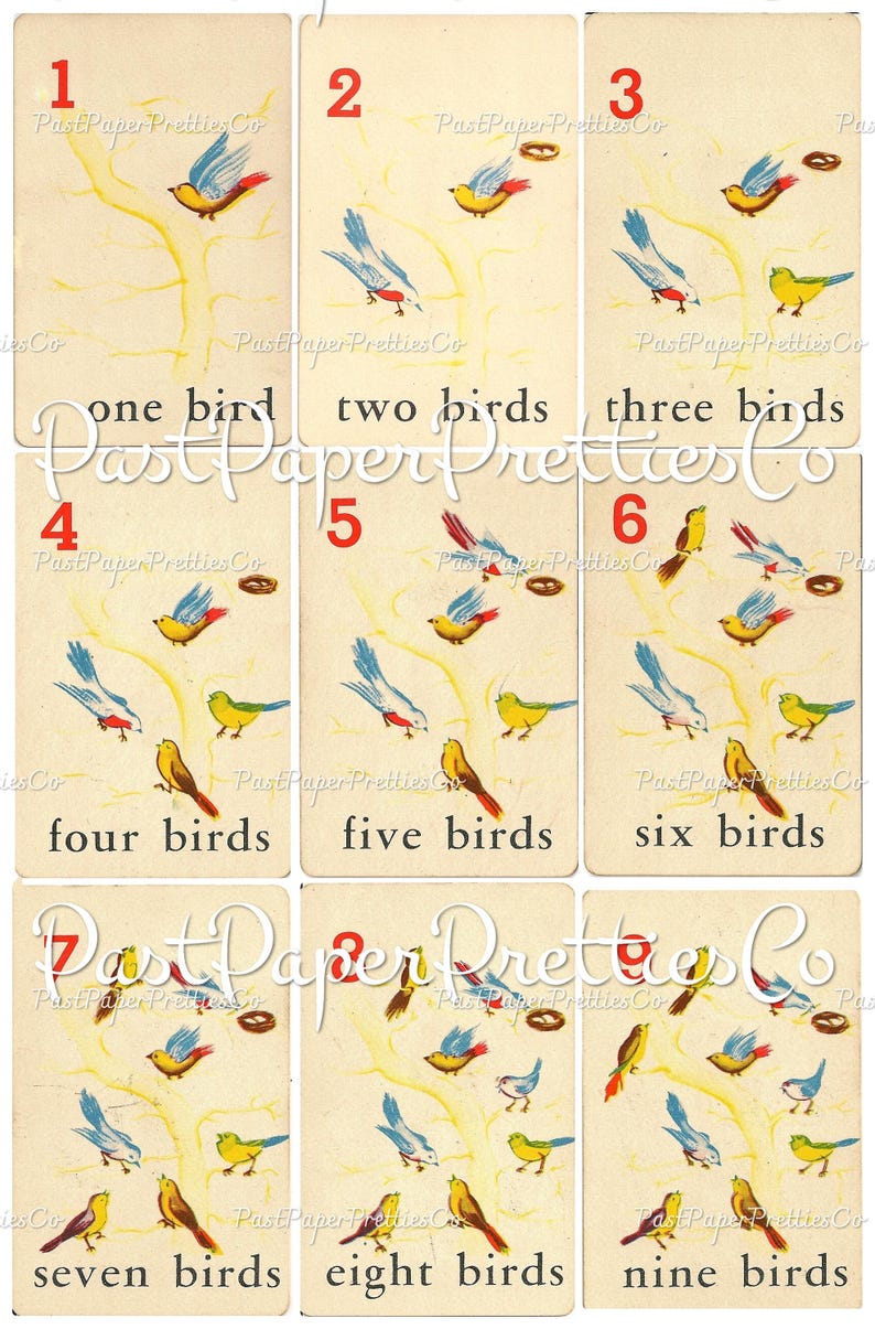 May include: Nine vintage flashcards with colorful illustrations of birds on a tree branch. Each card features a number from 1 to 9 and the corresponding number of birds. The text "Past Paper Pretties Co." appears on each card.