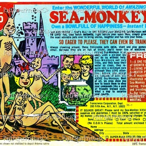 Anúncio Vintage Printable Retro Sea Monkeys 1971 Anúncio Original PDF Download Digital Instantâneo História em Quadrinhos de Infância Nostalgia