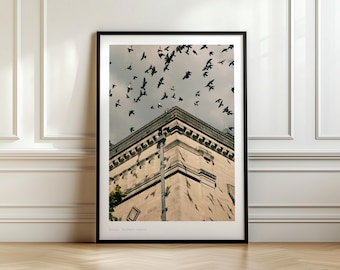 Gołębie z Belfastu nad architekturą miasta, wydruk, nastrojowa abstrakcyjna fotografia uliczna z Irlandii Północnej, miejska grafika ścienna z ptakami, wystrój podróży do Wielkiej Brytanii w formacie A4/A5