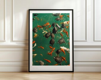 Wydruk fotograficzny z wizerunkiem ryb i żółwi koi w Emerald Water w Javea w Hiszpanii, dekoracja ścienna z motywem dzikiej przyrody w wodach Morza Śródziemnego, dekoracja fotograficzna z podróży po Costa Blanca w formacie A4/A5