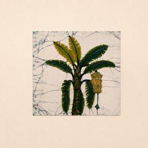 May include: A square artwork featuring a stylized banana tree. The tree has green leaves and a brown trunk, with a cluster of yellow fruit. The background is off-white with a network of dark lines.