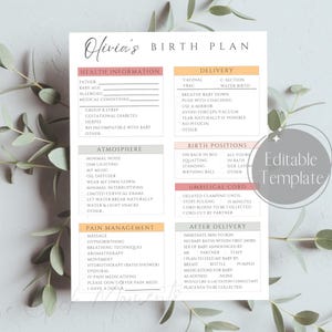 Birth Plan Template, Editable Birth Preferences Checklist, Birthing Plan Printable for Doctor, Delivery Plan for Doula, Canva Download, Boho