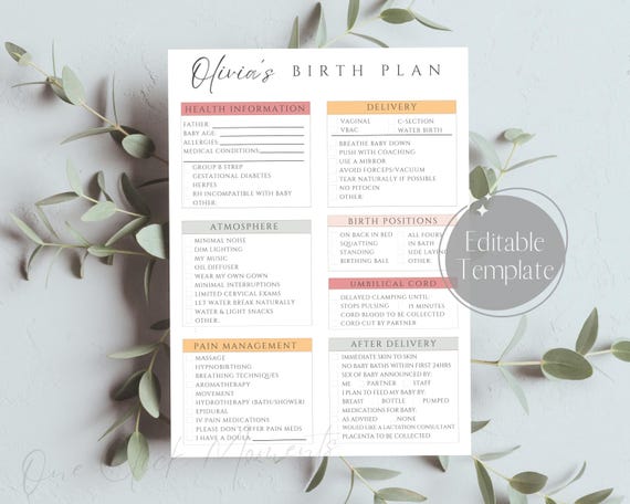 Birth Plan Template, Editable Birth Preferences Checklist, Birthing Plan Printable for Doctor, Delivery Plan for Doula, Canva Download, Boho