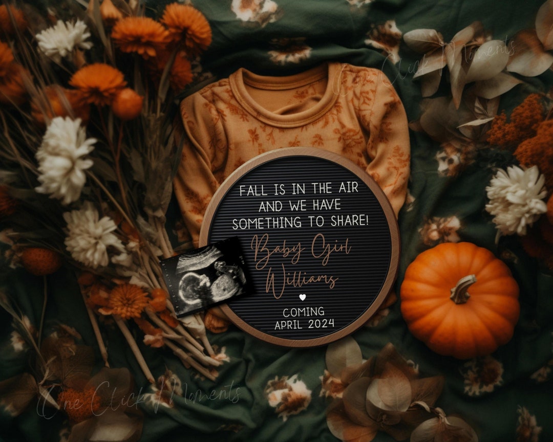 Pumpkin Patch Pregnancy Announcement Halloween Baby Girl - Etsy Australia