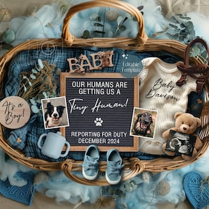 Puede incluir: Una cesta de mimbre llena de artículos para bebés, incluyendo un mameluco azul con el texto "Baby Davison", un osito de peluche, un par de zapatos de bebé azules, un vaso para beber azul, un letrero de madera que dice "¡Es un niño!" y un tablero de letras que dice "¡Nuestros humanos nos están dando un pequeño humano! ¡En servicio desde diciembre de 2024!".