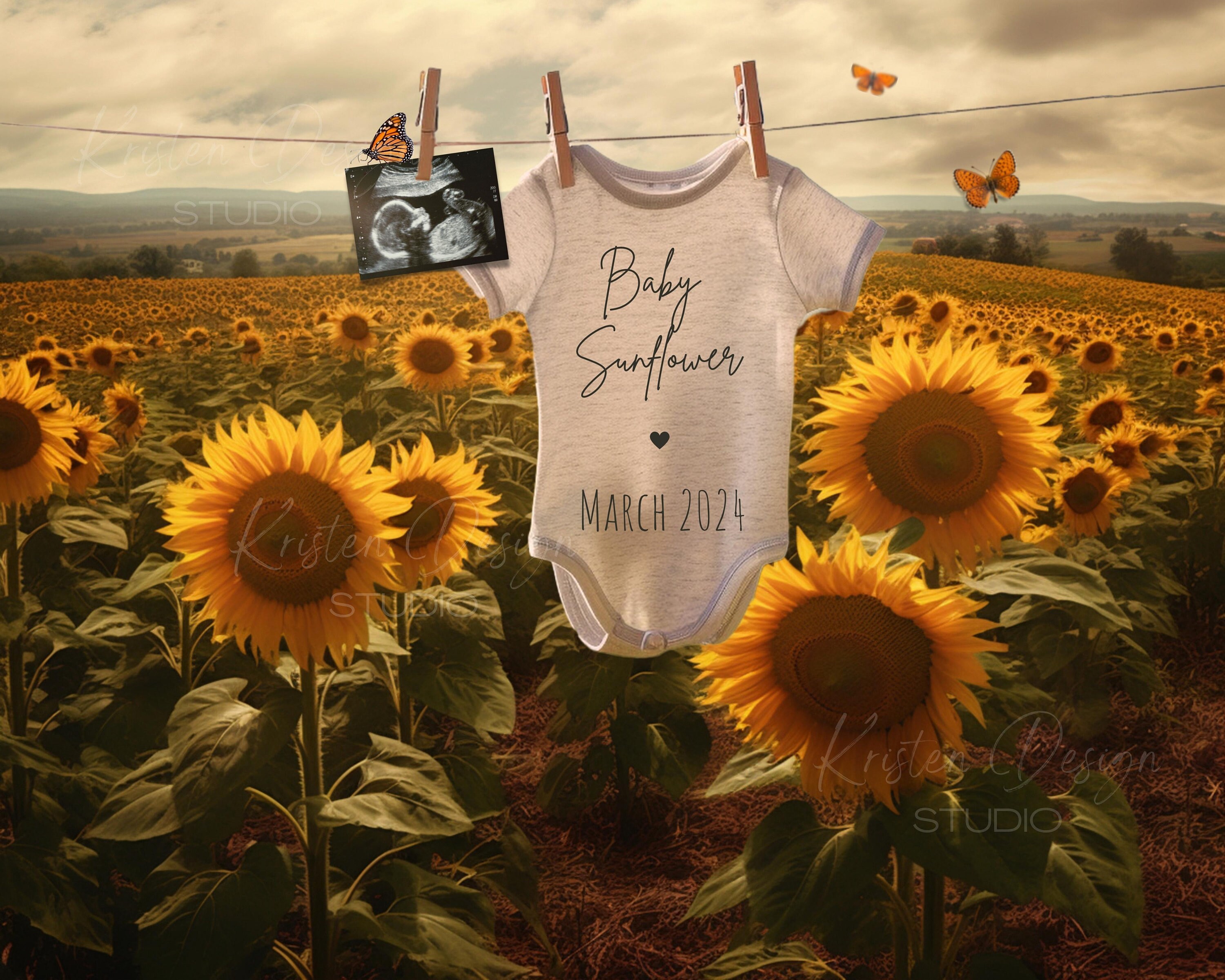 Digital Sunflower Pregnancy Announcement Summer Baby Etsy