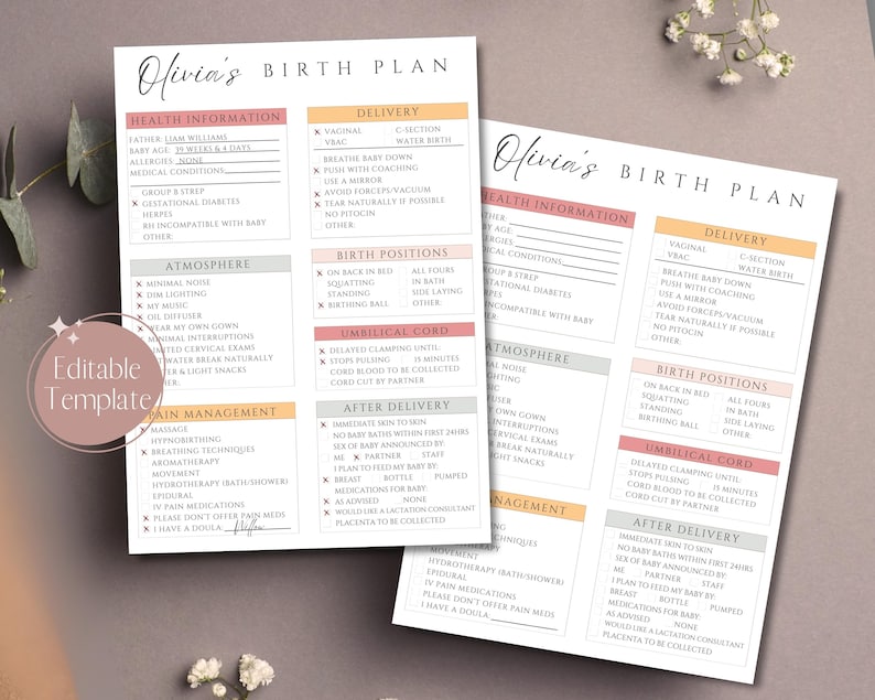 Plantilla de plan de parto, lista de verificación de preferencias de parto editable, plan de parto imprimible para médico, plan de parto para doula, descarga de Canva, Boho imagen 4
