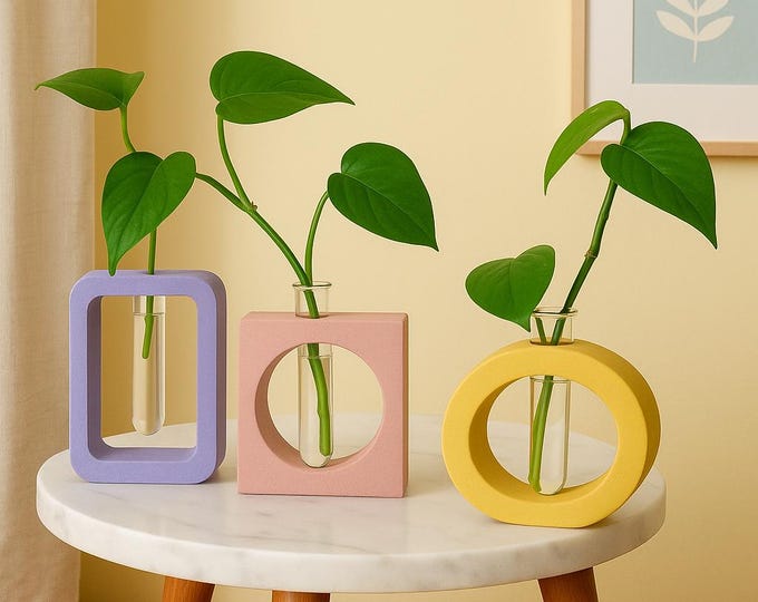 Concrete Propagation System – Circle, Rectangle & Square Shapes, Modern Plant Cuttings Station, Minimalist Home Decor