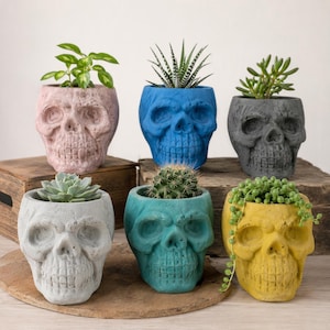 Skull Concrete Planter: Modern Succulent Pot, Halloween Decor