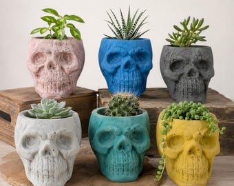 Skull Concrete Planter: Modern Succulent Pot, Halloween Decor