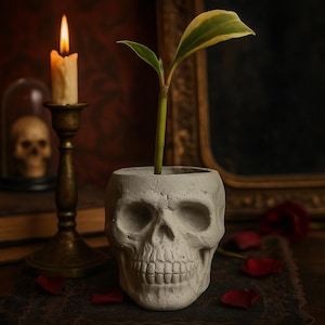 Skull Concrete Planter: Modern Succulent Pot, Halloween Decor