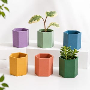 May include: A collection of six hexagonal planters in various colors: purple, green, blue, yellow, orange, and green. Two planters contain small plants. The planters are arranged on a white surface.